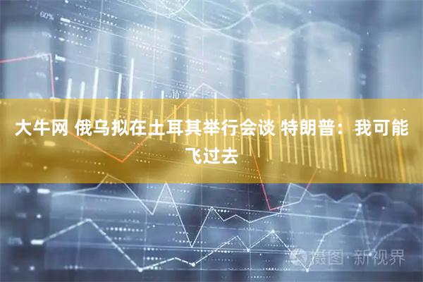 大牛网 俄乌拟在土耳其举行会谈 特朗普：我可能飞过去
