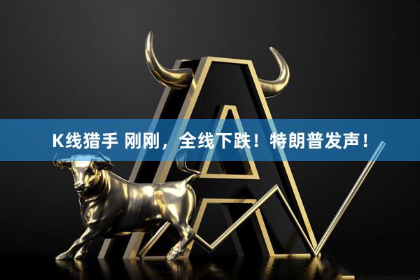 K线猎手 刚刚，全线下跌！特朗普发声！