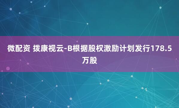 微配资 拨康视云-B根据股权激励计划发行178.5万股