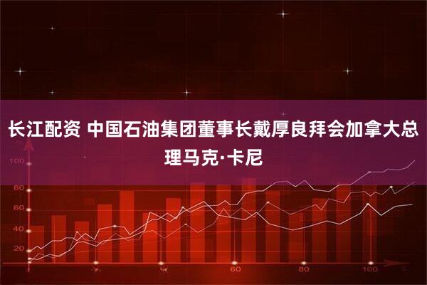 长江配资 中国石油集团董事长戴厚良拜会加拿大总理马克·卡尼